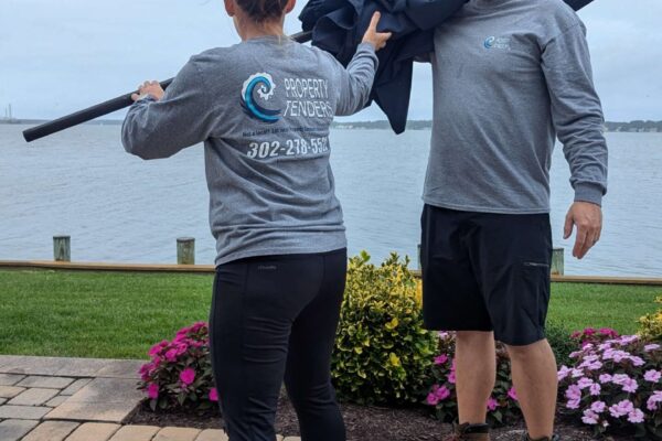 PXL_20251011_154732943